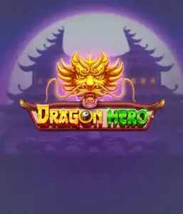 Войдите в фантастическое приключение с Dragon Hero от Pragmatic Play, представляющей захватывающую графику могучих драконов и героических битв. Исследуйте царство, где магия встречается с триллом, с представляющими зачарованных оружий, мистических существ и сокровищ для захватывающего приключения.